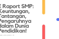 E Raport SMP